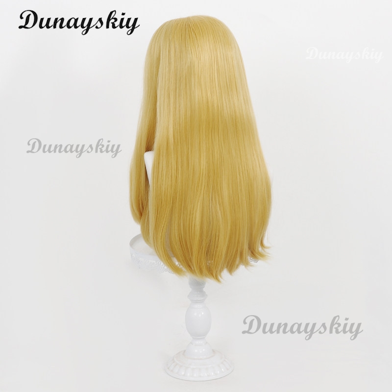 Set Cosplay Eisen Wig Panjang  - Anime Cosplay Long Hair ulasan dan harga